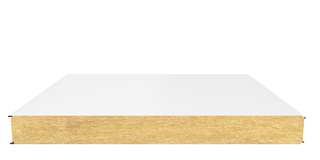 Стеновая сэндвич-панель (минеральная вата) 120 мм х 1000 мм (Гладкая)